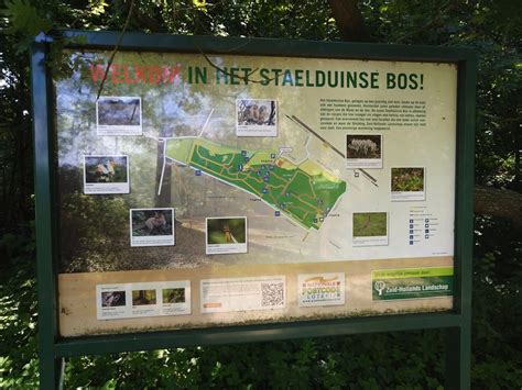 Dit Zijn De Mooiste Wandelroutes Door Het Westland Bezoek Westland