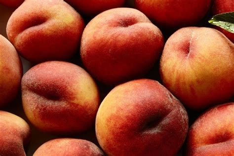 Creator Of Sweet Peach Vagina Bio Hack Clears The Air Dazed