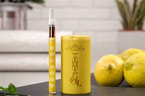 How To Use Different Vape Pens A Guide For New Users