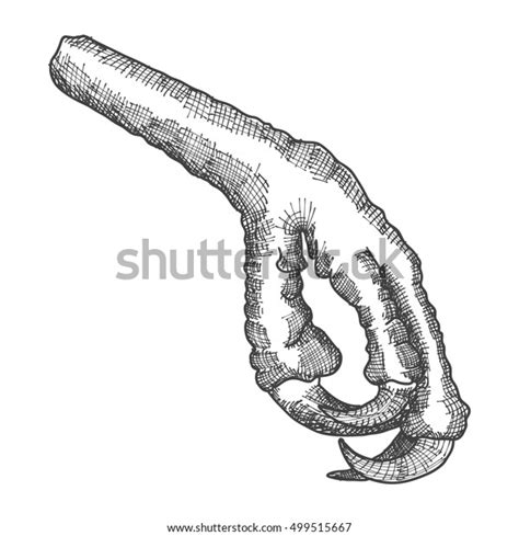 bird feet stylized drawing decorative drawn stock illustration