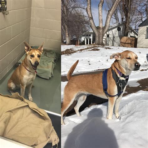 111 Best Aela Images On Pholder Velvethippos True STL And Skyrim Porn