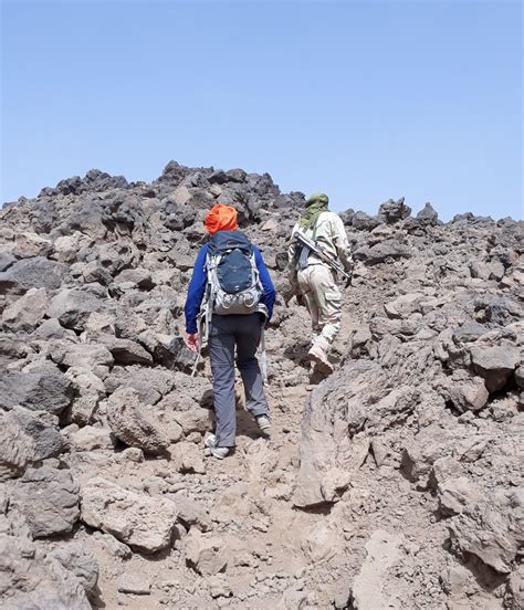 Customer Reviews - Niger Travel and Tours