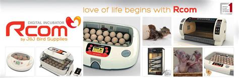Rcom_Digital_Incubators – Birds Planet