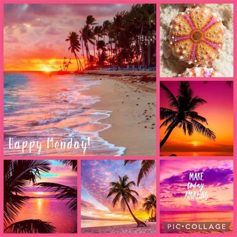 A Collage Of Pictures With The Words Happy Monday And Palm Trees In