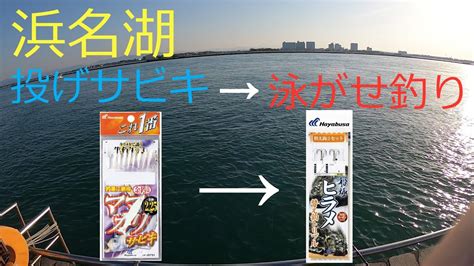 久しぶりに浜名湖で、投げサビキで小魚を釣り、海釣り公園で泳がせ釣りをしました。 Youtube