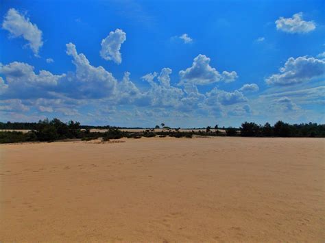 Deserts In Poland You Must Visit The Kozlow Desert
