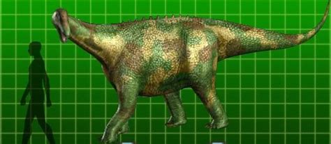 Brachiosaurus Dinosaur King