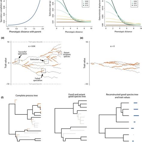 Effect Of Competition On Diversification Patterns In An Unbounded Trait