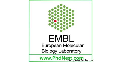 Postdoctoral Fellowship At European Molecular Biology Laboratory