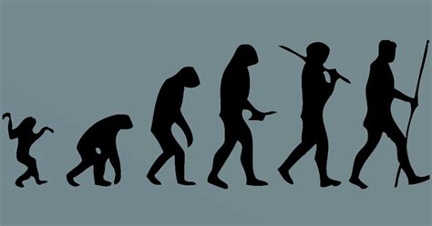 Etapas Da Evolução Humana - 10