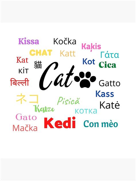 Cat In Different Languages Poster By Edelisa Redbubble