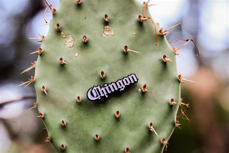 Chingon Enamel Pin Bad Ass Chicano Latino Si Se Puede Cabron Toxico Chingon SVG