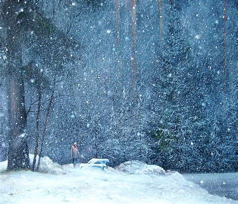 Великолепие цветов и бабочек в живописи Александра Желонкина: nikitina ...