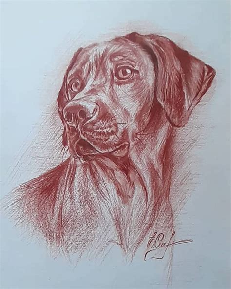 Картина «Риджбек» Ватман, Сепия 2024 г.