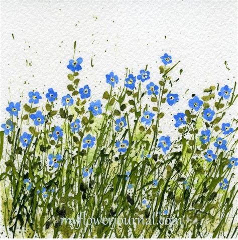 Forget Me Not Watercolor At Explore Collection Of