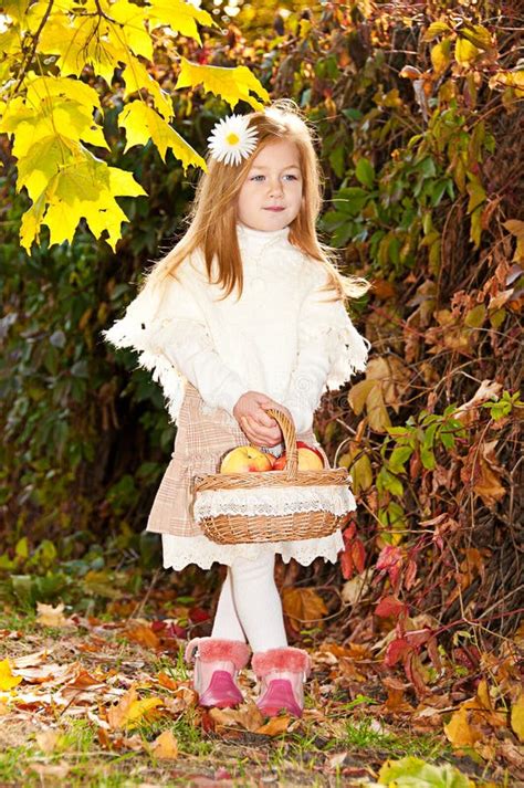 Bella Bambina Con Il Cestino Delle Mele Mature Immagine Stock