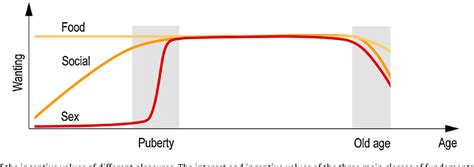 Figure From The Human Sexual Response Cycle Brain Imaging Evidence Linking Sex To Other