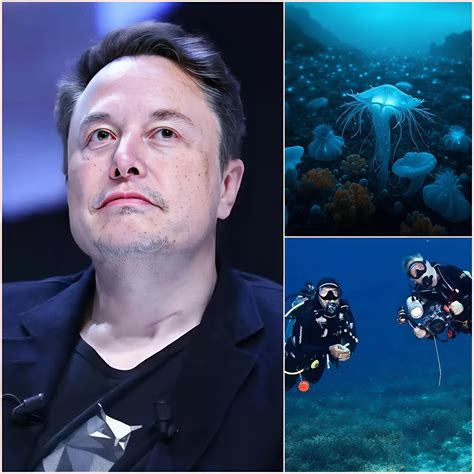 HOT NEWS: A new discovery has stunned scientists with Elon Musk's