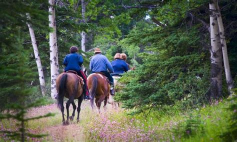 West Yellowstone Horseback Riding Horse Trail Rides Alltrips