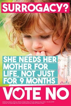 Irelands Marriage Equality Referendum The Case Against Gay Marriage Meandering Tripe