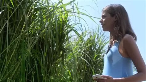 In the Tall Grass (2019) - Film Blitz