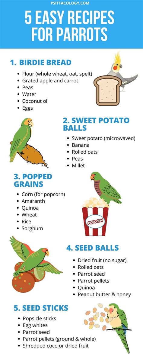 Parrot Food List