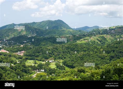 valley in Trinidad Stock Photo - Alamy