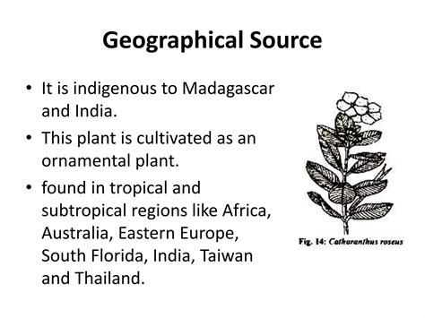 Vinca Alkaloidspptx