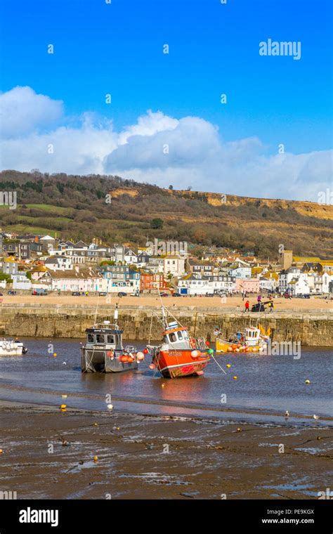 A Low Spring Tide With Colourful Fishing Boats In The Harbour At Lyme