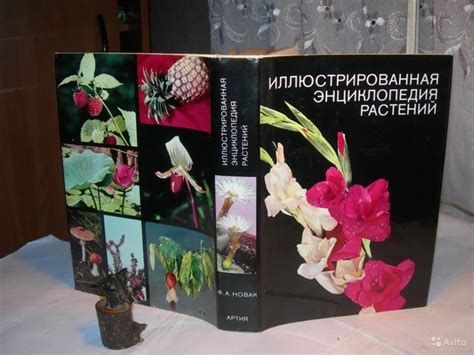 Иллюстрированная энциклопедия растений 2025 | Биология книги | ВКонтакте