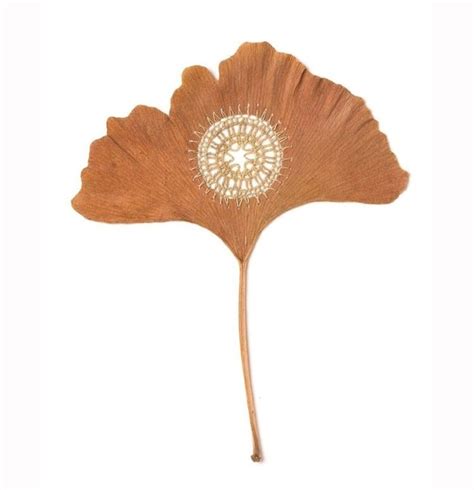 Необычное в обычном | ВКонтакте