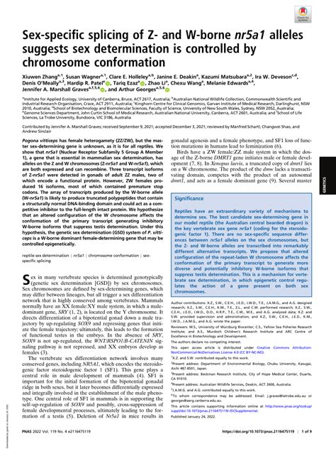 PDF Sex Specific Splicing Of Z And W Borne Nr A Alleles Suggests Sex Determination Is