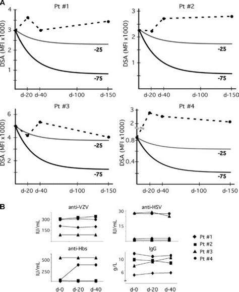 Postbortezomib Follow Up A Immunodominant Donor Specific Anti HLA