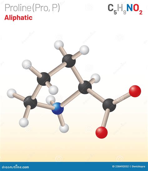 Proline L Proline Pro P Proteinogenic Amino Acid Molecule