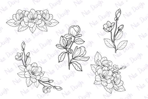 Magnolia Flower Illustration Line Art Graphic By Nurdesign99 · Creative