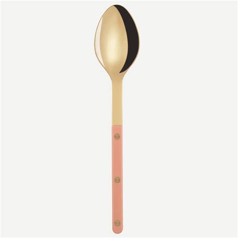 Sabre Paris Bistrot Gold Solid Nude Pink Serving Spoon Originals Cutlery