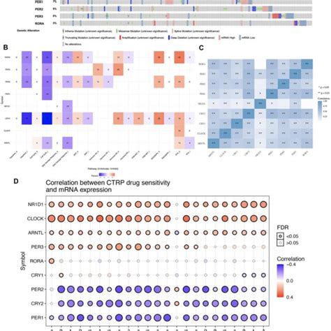 Genetic Mutation Landscape And Drug Sensitivity Analysis Of Core Download Scientific Diagram