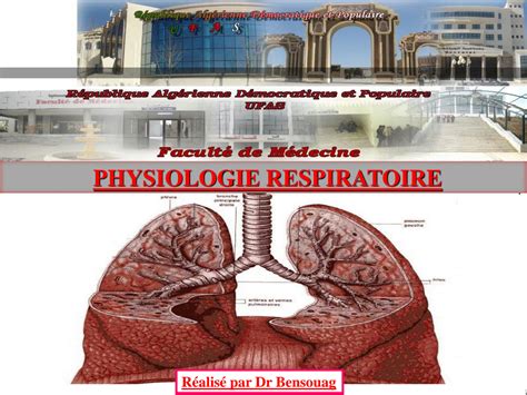 Solution Cours Physiologie Mecanique Ventilatoire Studypool