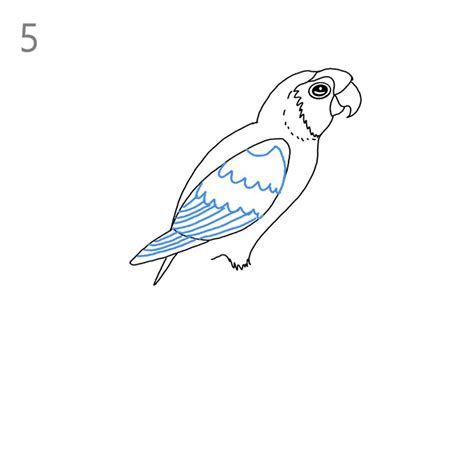 How to Draw a Parakeet - Step by Step Easy Drawing Guides - Drawing Howtos