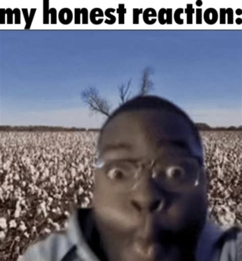 My honest reaction Blank Template - Imgflip