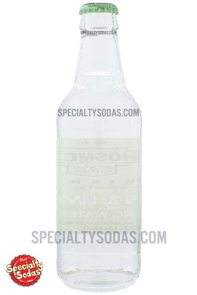 Hosmer Mountain Premium Lemon And Lime Sparkling Water 12oz Glass Bottle