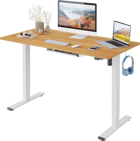 FLEXISPOT Basic Bureau Assis Debout Bureau Électrique Réglable en