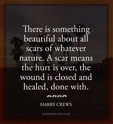 Quotes About Scars Quotesgram