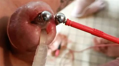 E Stim In Piercing Pa And Anal Cum Ejac With Catheter Inside Cock Gay