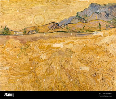 Van Gogh Wheatfield With Reaper