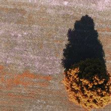 Ocularofferings Nude Patreon Leaks Fapopedia