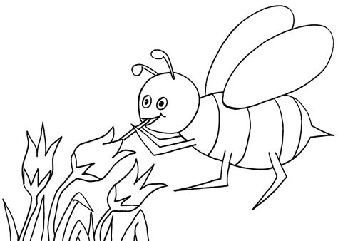 Bumblebee Line Drawing Free Download On Clipartmag