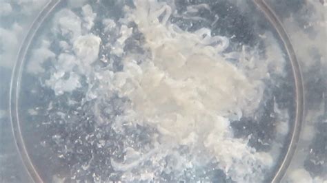 Schuss Ins Wasser Gay German Hd Porn Video D Xhamster