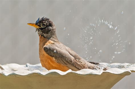 Wet And Wild on Behance