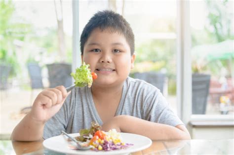 Foto De Criança Gorda - Criança Gorda Banco de Imagens e Fotos de Stock - iStock
